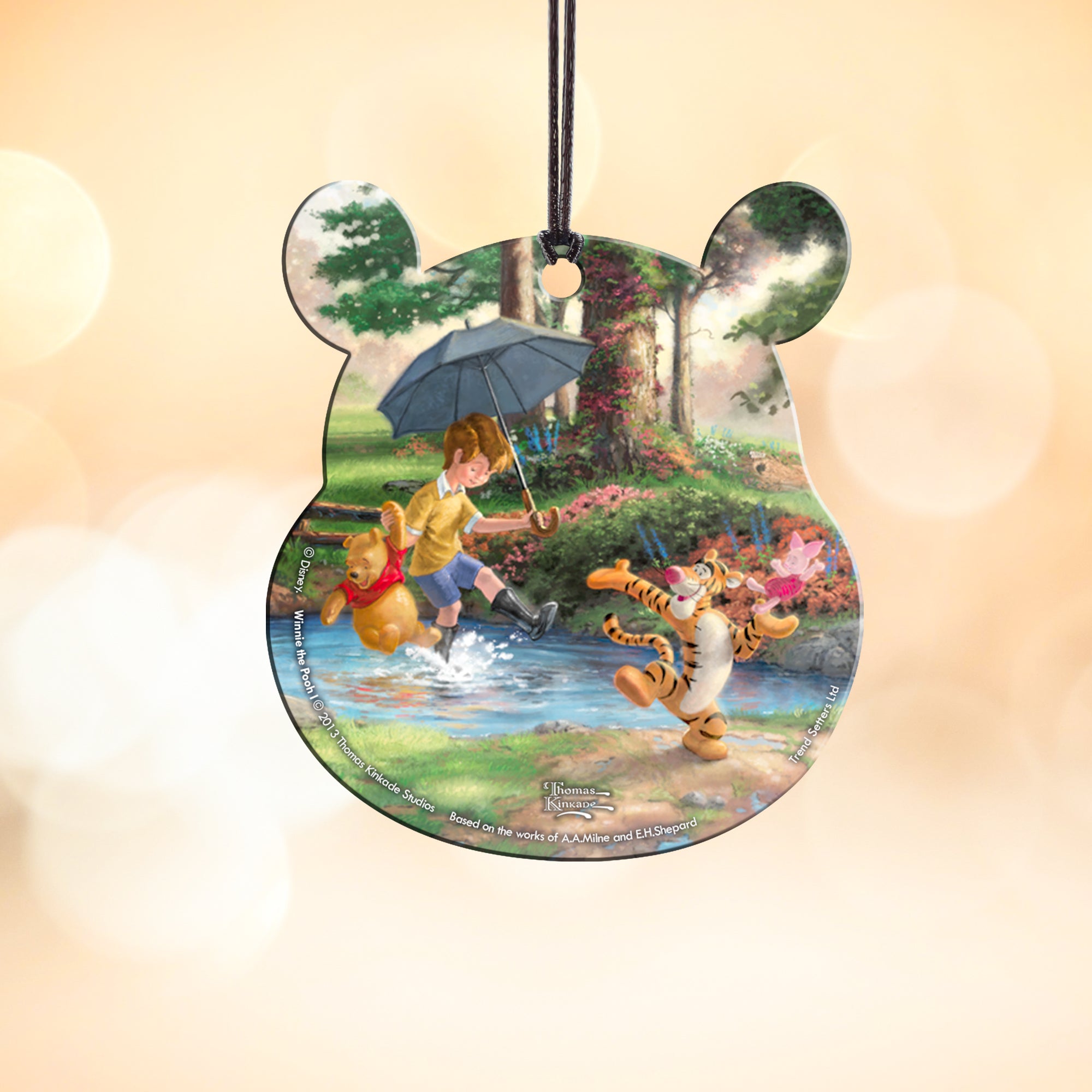 Disney (Winnie the Pooh I) Hanging Acrylic Print ACPBEAR381